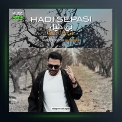 آهنگ بی دلیل از هادی سپاسی