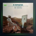 آهنگ بی همنفسی از پیوند