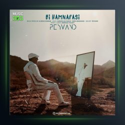 آهنگ بی همنفسی از پیوند