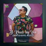 آهنگ بیخیالی طی کن از زکی شمس آبادی