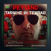 آهنگ تاریخ بی تکرار از پیوند