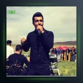 آهنگ تش زی قرارم از فرشید حکمتی