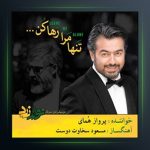 آهنگ تنها مرا رها کن از پرواز همای