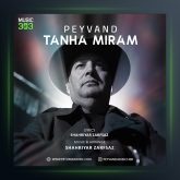 آهنگ تنها میرم از پیوند