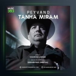 آهنگ تنها میرم از پیوند