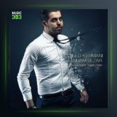 آهنگ تنهام بزار از سعید کرمانی