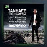 آهنگ تنهایی از احسان جوادی