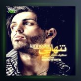 آهنگ تنهایی از سعید کرمانی و مهدی ساعی