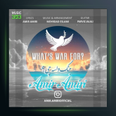 آهنگ جنگ واسه چی از امیر امیری