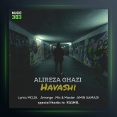 آهنگ حواشی از علیرضا قاضی