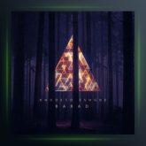 آهنگ خودتو عشقه از باراد