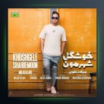 آهنگ خوشگل شهرمون از میلاد علوی