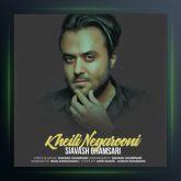 آهنگ خیلی نگرونی از سیاوش قمصری