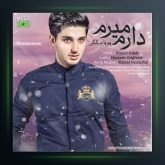 آهنگ دارم میرم از پویا سالکی