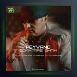 آهنگ دختر شاه از پیوند