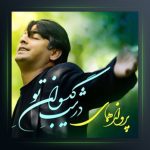 آهنگ در شب گیسوان از پرواز همای