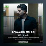 آهنگ دسته گل از همایون مولایی