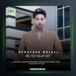 آهنگ دل تو دلم نیست از همایون مولایی