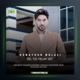 آهنگ دل تو دلم نیست از همایون مولایی