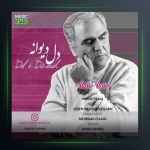 آهنگ دل دیوانه از امیر امیری