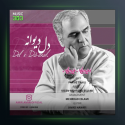 آهنگ دل دیوانه از امیر امیری