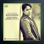 آهنگ دل دیوونه از شهاب بخارایی