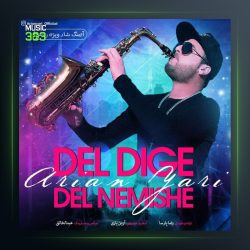 آهنگ دل دیگه دل نمیشه از آرین یاری