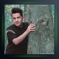 آهنگ دل زخمی از مجید حسینی