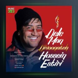 آهنگ دل من دیوونته از حسین استیری