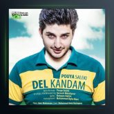 آهنگ دل کندم از پویا سالکی