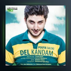 آهنگ دل کندم از پویا سالکی