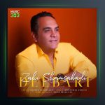 آهنگ دلبری از زکی شمس آبادی