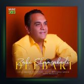 آهنگ دلبری از زکی شمس آبادی