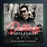 آهنگ دلتنگ از سیاوش قمصری