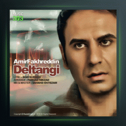 آهنگ دلتنگی از امیر فخرالدین