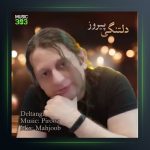 آهنگ دلتنگی از پیروز