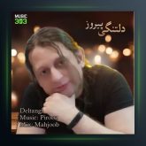 آهنگ دلتنگی از پیروز