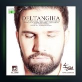 آهنگ دلتنگی ها از علی زیبایی