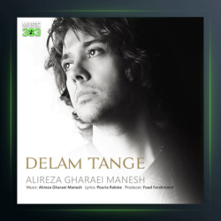 آهنگ دلم تنگه از علیرضا قرایی منش