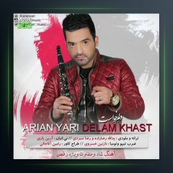 آهنگ دلم خواست از آرین یاری