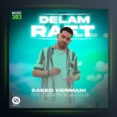 آهنگ دلم رفت از سعید کرمانی