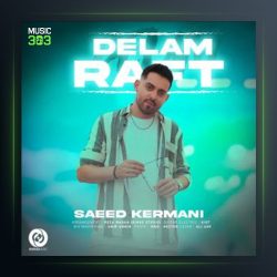 آهنگ دلم رفت از سعید کرمانی