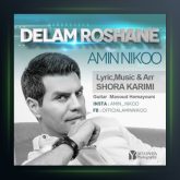 آهنگ دلم روشنه از امین نیکو