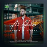 آهنگ دلم روشنه از علی قلیچ