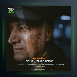 آهنگ دلم شاد کنید از پیوند