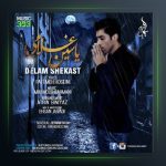 آهنگ دلم شکست از یاسین غلامی