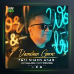 آهنگ دمتم گرم از زکی شمس آبادی