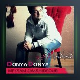 آهنگ دنیا دنیا از میثم جمشیدپور