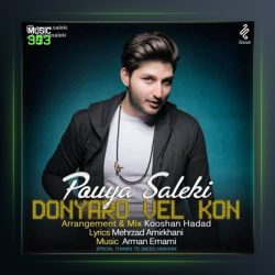 آهنگ دنیا رو ول کن از پویا سالکی