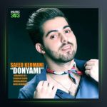 آهنگ دنیامی از سعید کرمانی